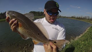 Catching a Redfish near Downtown Houston in Freshwater!