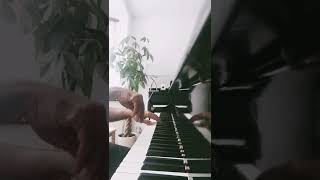 Fur Elise on Grand Piano #shorts