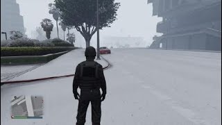 Snowy gta online