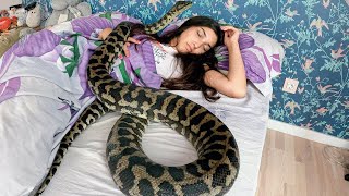 Elle aimait dormir avec son python, mais la raison pour laquelle il perdait du poids l’a horrifiée