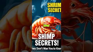 SHRIMP Secrets They Don't Want You To Know! #facts #shorts