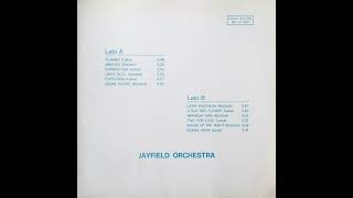 Jayfield Orchestra – Buena Vista