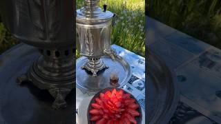 Чай из самовара с тортиком на природе. Почему чай из самовара вкуснее?? #shots  #çay #чай #shorts