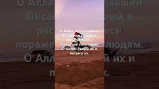 Дуа…Дуа…. #freepalestine #палестина #альакса #quran #дуа #ислам