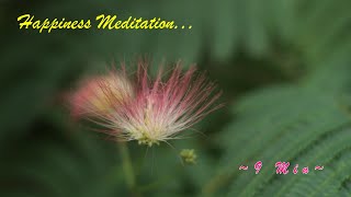 HAPPINESS MEDITATION BY THE MIMOSA TREE ~ 9 MIN ANYTIME OF THE DAY MEDITATION ~ WWW.TEMPLESOUNDS.NET