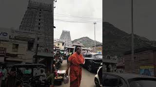 திருவண்ணாமலை tiruvannamalai #song #tamil #trending #shorts