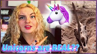 UNICORNS ARE REAL?? Archaeologist REACTS to TikTok Unicorn Skull