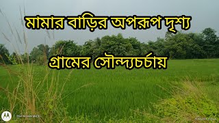 মামাবাড়ি ভারী মজা || আজ গেলাম একবার দিদিভাই এর কাছে #village #villagelife #villagelife #villagevlog