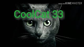 CoolCat __