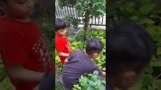 Animal lovers! Jethro and Vano feeding their Koi fishes.