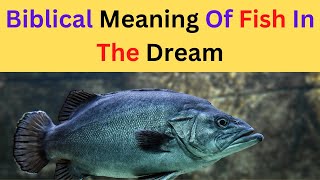 Biblical meaning of fish in the dream...My Contact....