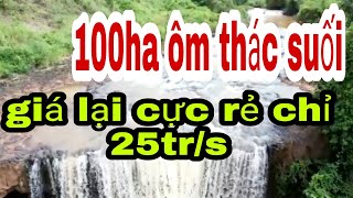 #đất gia lai giá rẻ# 100ha ôm thác suối chư prông tỉnh gia lai giá chỉ 25tr/sao đường nhựa