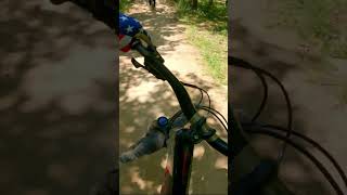 Mountain Creek #shorts  #freeridemtb #mountainbiketrails #mtb #mountainbikepark #mountainbiking