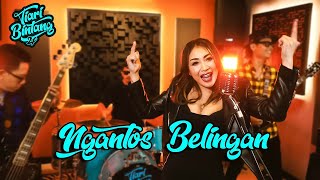 Ngantos Belingan - Tiari Bintang 24