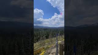 Paradise of California-South Lake Tahoe