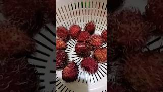 SO MANY RAMBUTAN #trending #foodie