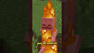 La Version Officielle la Plus Dure de Minecraft