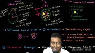 parasitology part#10// Fasciola hepatica// sheep liver Fluke// Adult,Egg,Larva// SSC SLST Zoology