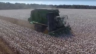 USDA’s Rare Approval Could Help Texas A&M Feed Millions, Boost Cotton Farmers’ Earnings