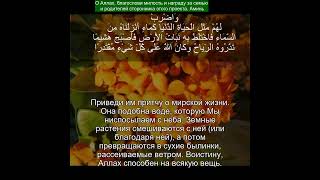 Коран Сура Аль-Кахф |18:45 | Чтение Корана с русским переводом | Quran Translation #quranrecitation