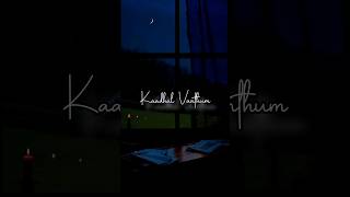 Kadhal🤍 Vanthum🍂 Sollamal🥀 Song Whatsapp Status🥺 #lovefailurestatus #feelingstatus #astheticlyrics