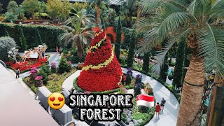 Man made forest 👌 Gardens by the bay singapore 🇸🇬