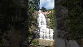 Silver Cascade Waterfall in Kodaikanal, Tamil Nadu #south #kodaikanal #letest #silverfalls #tamil