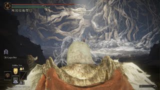 Blood loss in Elden Ring is OVERPOWERED (after patch)