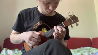 Хадн Дадн - Совершенна (ukulele cover)