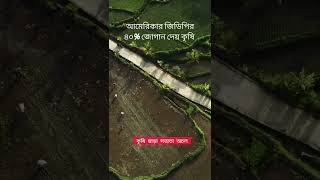 কৃষি ছাড়া সভ্যতা অচল #agriculture #কৃষি #shorts