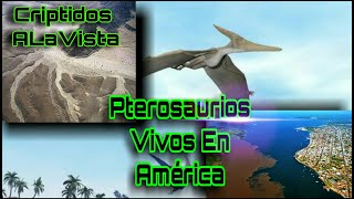 Pterosaurio De Manaus & Pterodáctilo De La Laguna Salada | #Bestiario Vol.28 | CRIPTOZOOLOGÍA |