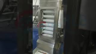 Multi-functional granular particle candy packaging machine多功能大立式颗粒糖果包装机 CHLB