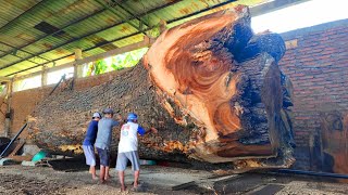 The large suar tree fell at the sawmill owned by Mr Doni Australia, the material for the meeting tab