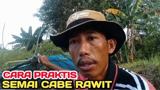 TATACARA SEMAI CABE RAWIT AGAR CEPAT BERTUMBUH DENGAN MEDIA SEDERHANA