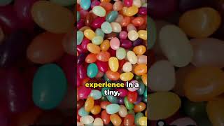 Top Jelly Bean Flavor [fact]