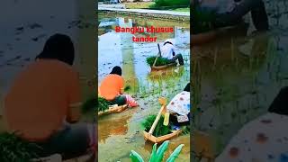 bangku khusus tandor... bikin gak capek di kaki