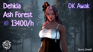 BDO Dark Knight Awakening Dehkia Ash Forest 13.4k/hr