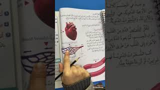 شرح درس جهاز الدوران وحل اسئلة الدرس الصف الخامس علوم