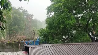 HEAVY RAIN WITH THUNDER