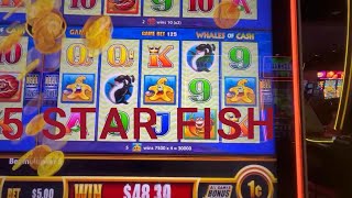 Whales of Cash - Wonder 4 Boost, $5 Bets, $1000 win! #wonder4 #slots #winstar