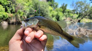 creek fishing part 1!! 🎣#shorts #fishing