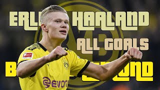 Erling Haaland - All Goals For Bor. Dortmund