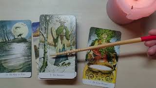 221. Innocent Mind in Tarot 2022 - Part 2 (Wildwood Tarot)