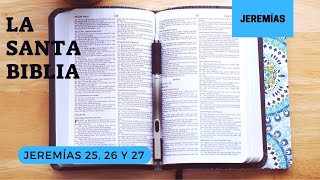 JEREMÍAS 25, 26, 27 (DÍA 198) LA SANTA BIBLIA || Biblia hablada ||