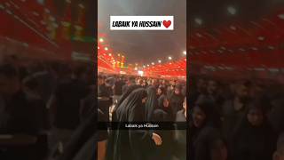 LABAIK YA HUSSAIN ❤️ #newnohay2024 #bibisakina #farhanaliwaris #ZakhmiHaiSakina #babajaan2