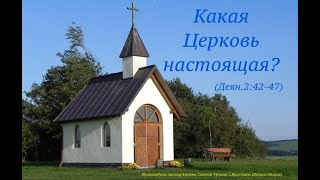 Настоящая Церковь. Проповедует пастор Михаил Швецов. Деяния Святых Апостолов 2:42-47.