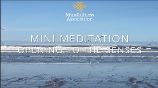 Mini Meditation - Opening to the Senses