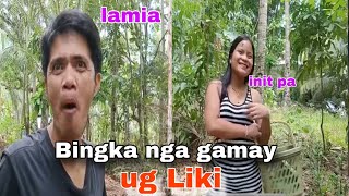 Batang sipat Bingka nga gamay og liki init pa