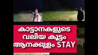 anakulam kerala| NIGHT ELEPHANT SHOW|  35 Wild Elephants കാട്ടാനകളെ അടുത്ത് കാണാൻ പറ്റുന്ന സ്ഥലം.