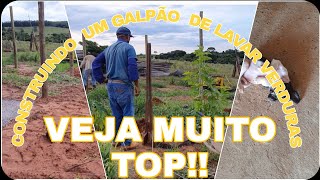 LEVEI OS ANIMAIS P/SÍTIO//COMEÇAMOS A OBRA DO GALPÃO DE LAVAR VERDURAS.